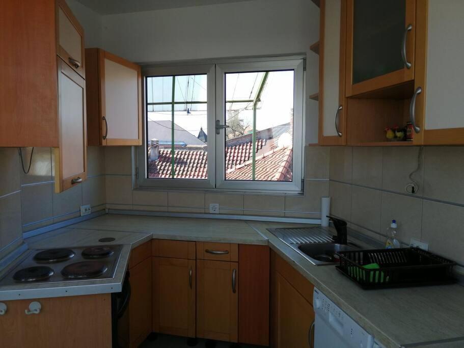 Apartman Natasa 3 Vrsac Dış mekan fotoğraf
