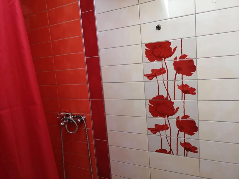 Apartman Natasa 3 Vrsac Dış mekan fotoğraf