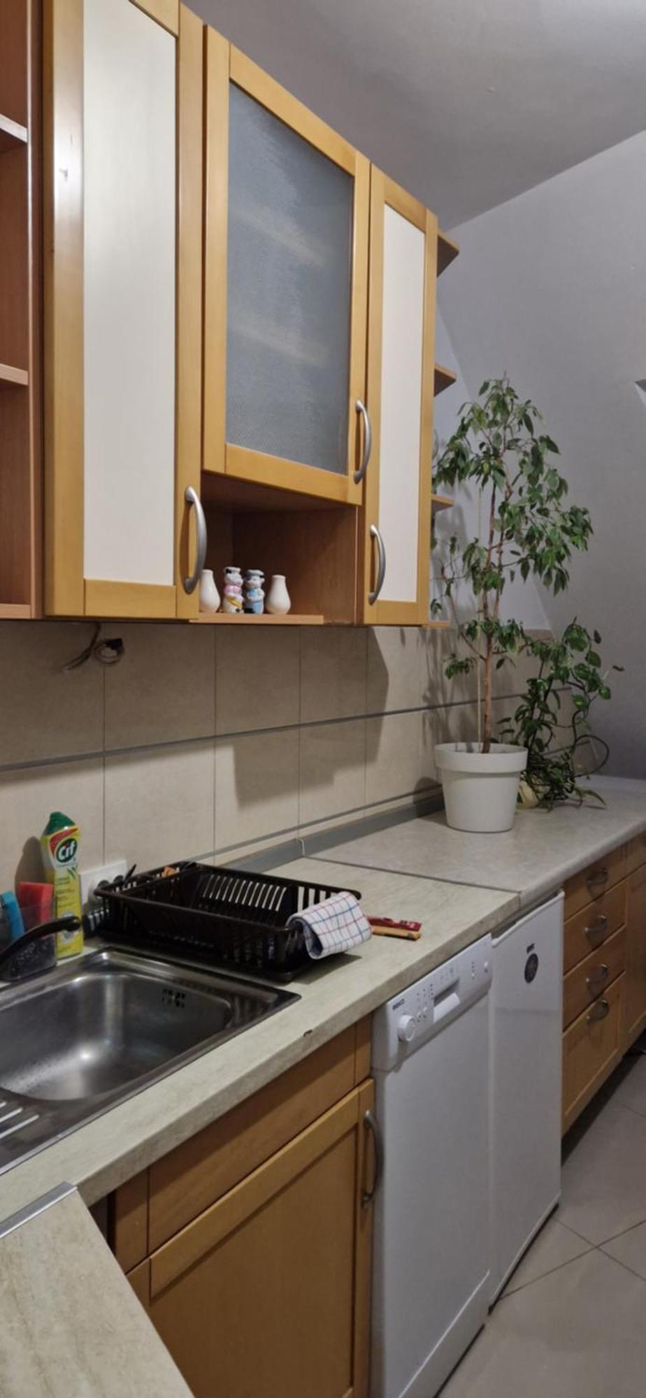 Apartman Natasa 3 Vrsac Dış mekan fotoğraf