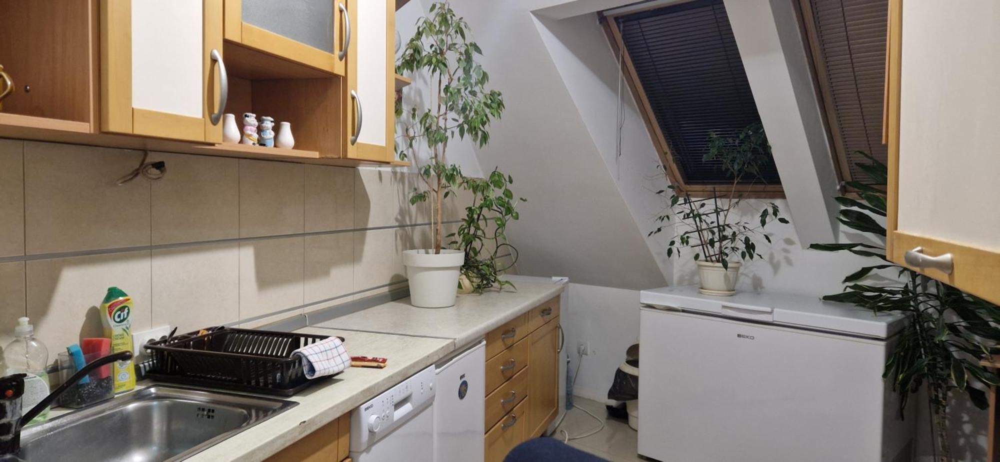 Apartman Natasa 3 Vrsac Dış mekan fotoğraf
